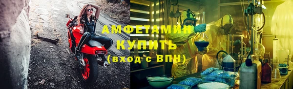 шишки Сосновоборск
