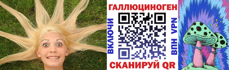 Купить  Тихвин  Псилоцибиновые грибы мухоморы 